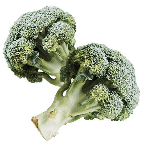 Fresh Organic Garlic